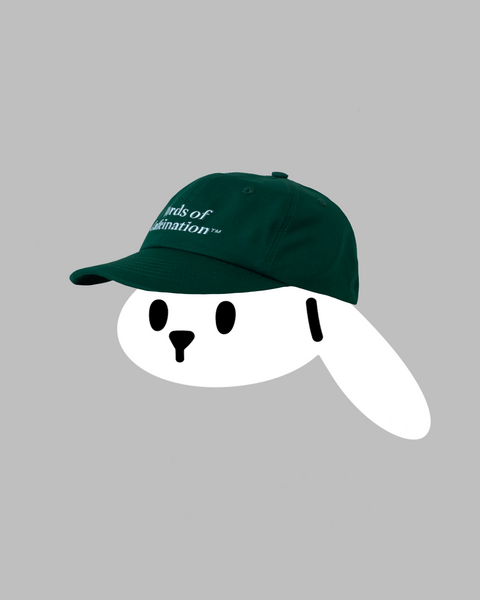 Words of Caffeination Hat (Green)
